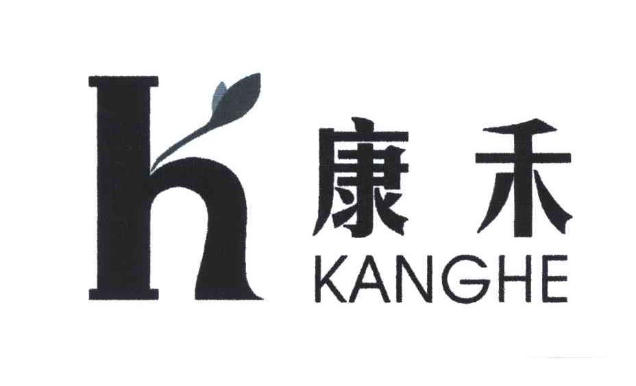 康禾;KANG HE;H