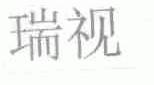 瑞视
