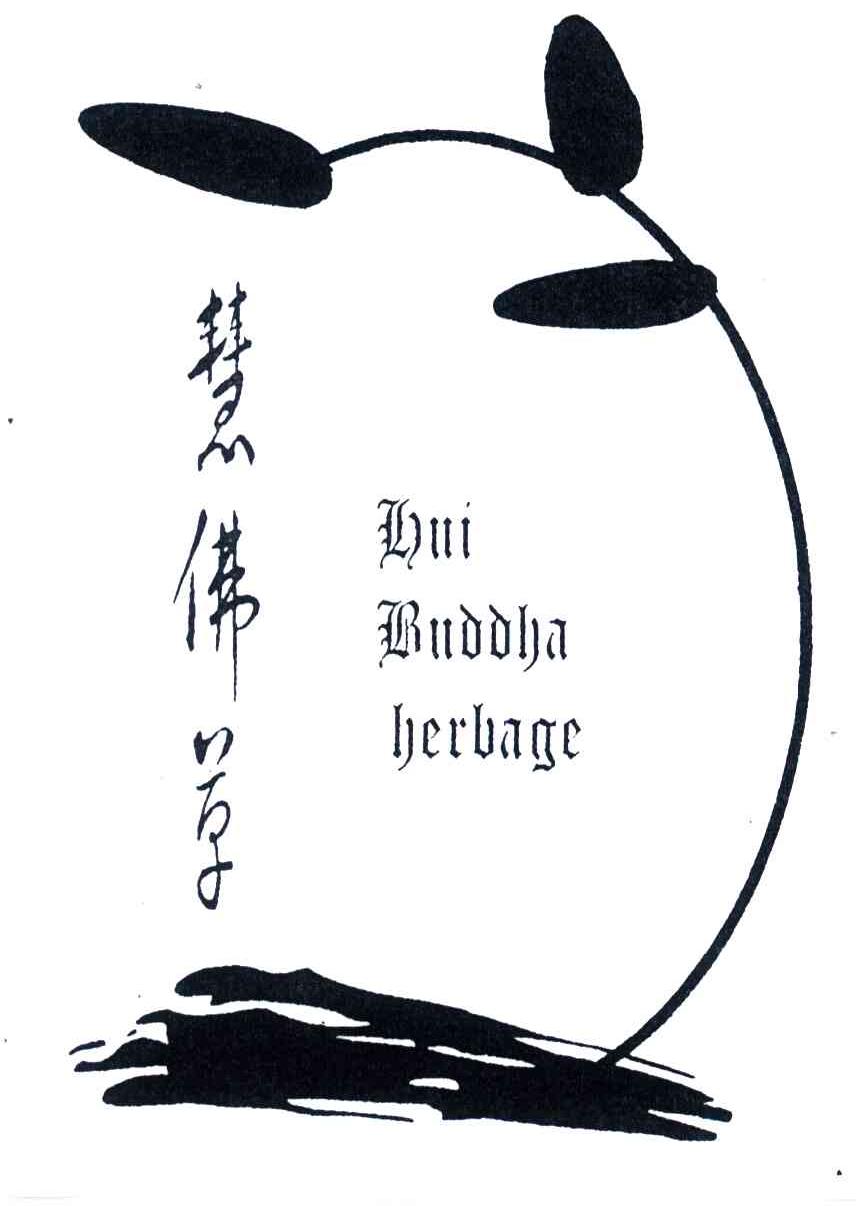 慧佛草;HUIBUDDHAHERBAGE