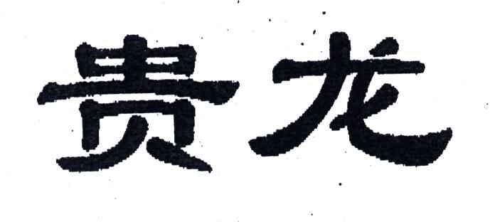 贵龙
