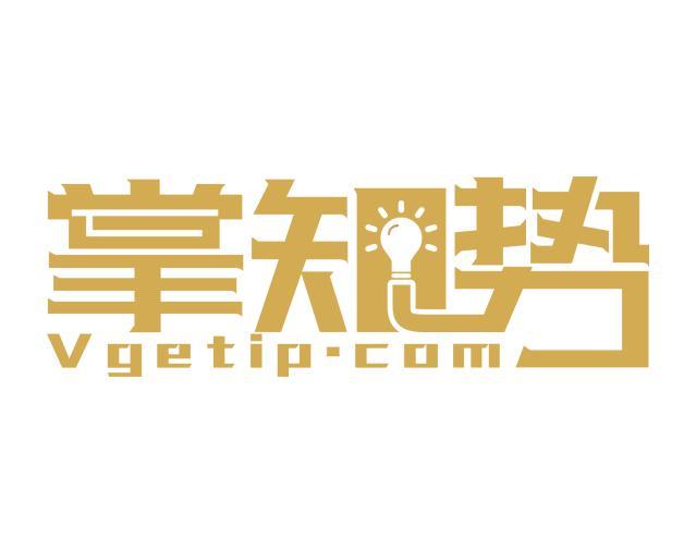 掌知势 VGETIP.COM