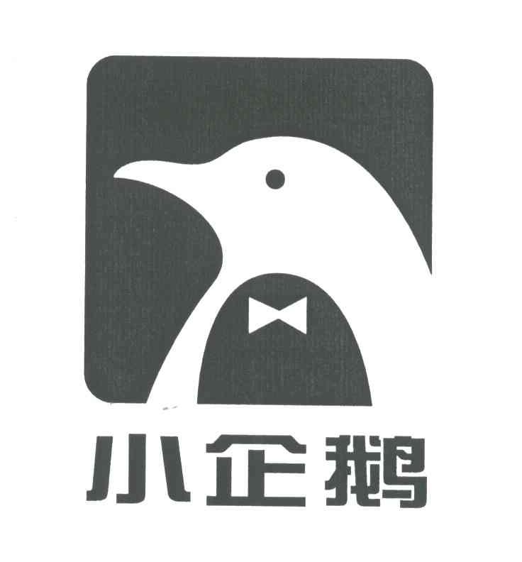 小企鹅
