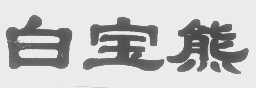 白宝熊