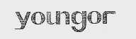 YOUNGOR