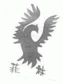 菲林