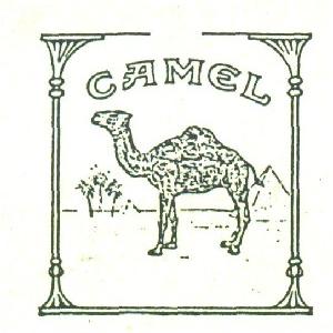 CAMEL