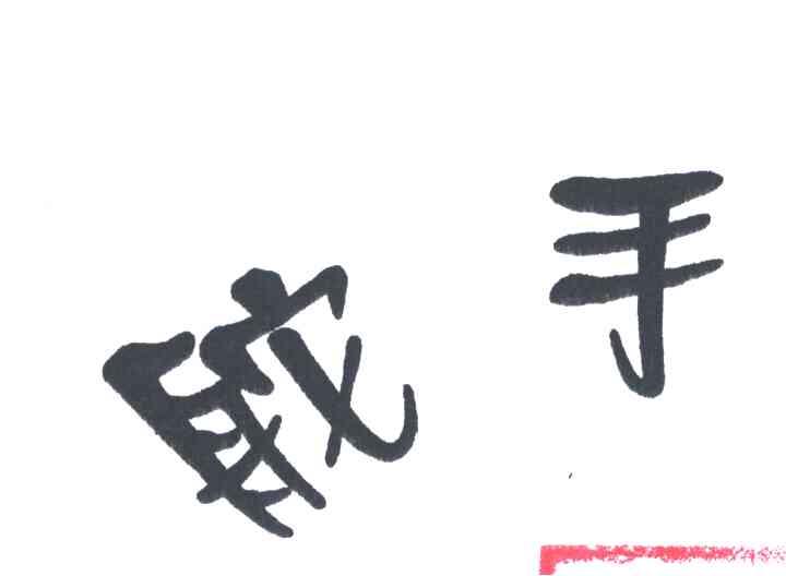 舵手