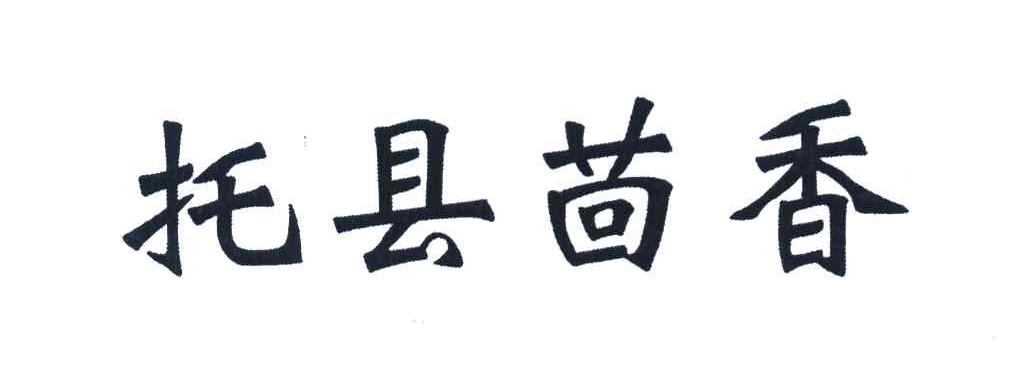托县茴香