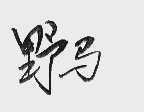 野马