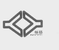 岳扬   NYYC