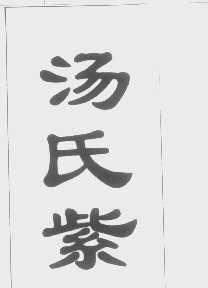 汤氏紫