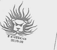 TPILION   图腾狮