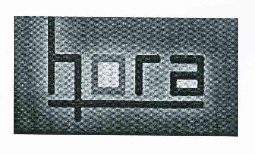 HORA