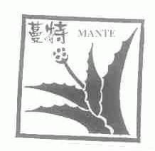 蔓特
