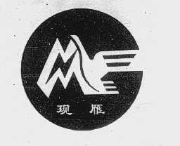 现雁