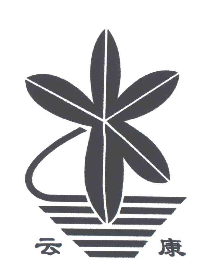 云康