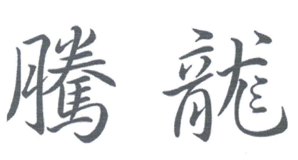 腾龙