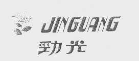 劲光