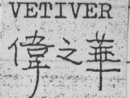 伟之华    VETIVER