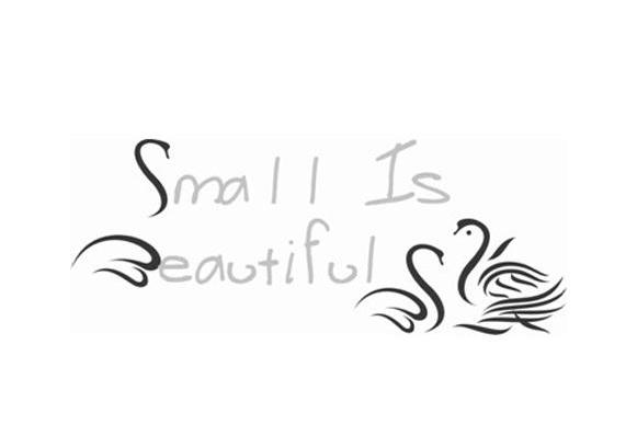 SMALL IS BEAUTIFUL