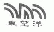 东望洋