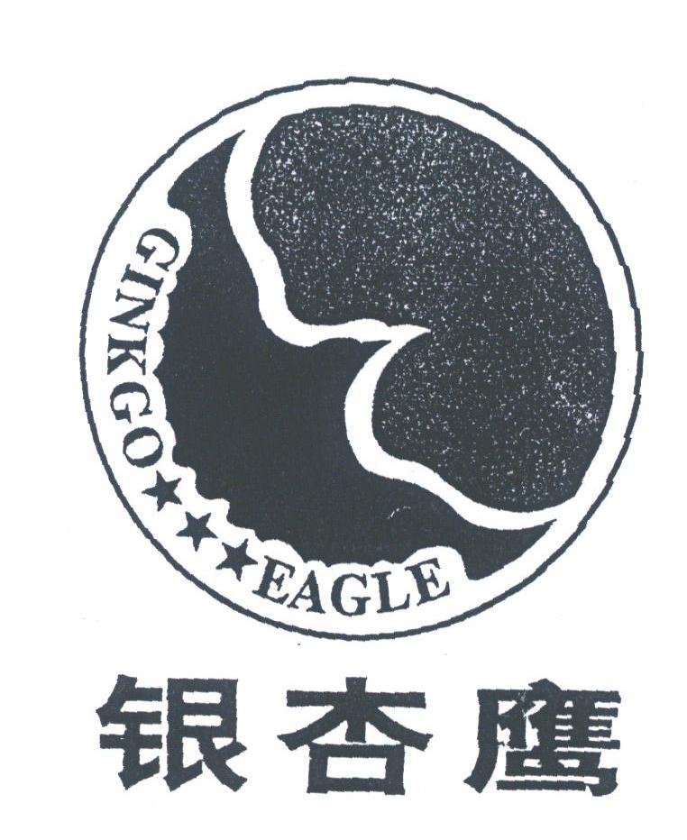 银杏鹰;GINKGO EAGLE