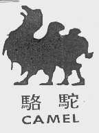骆驼  CAMEL