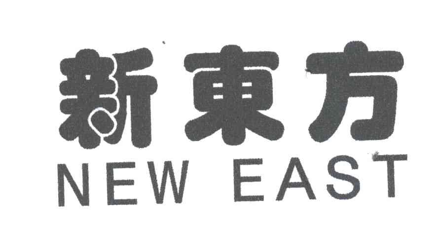 新东方;NEW EAST