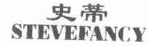 史蒂;STEVEFANCY