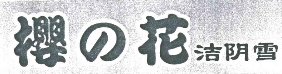 樱花洁阴雪