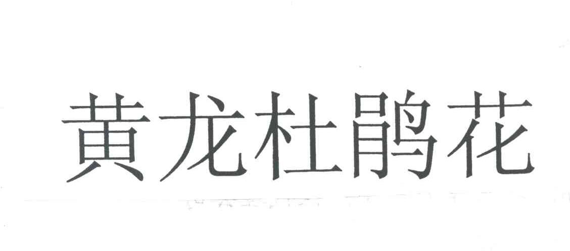 黄龙杜鹃花