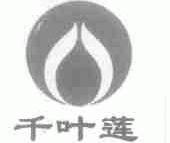 千叶莲