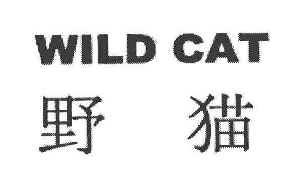 野猫 WILD CAT