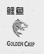 鲤鱼;GOLDEN CARP