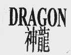 神龙   DRAGON