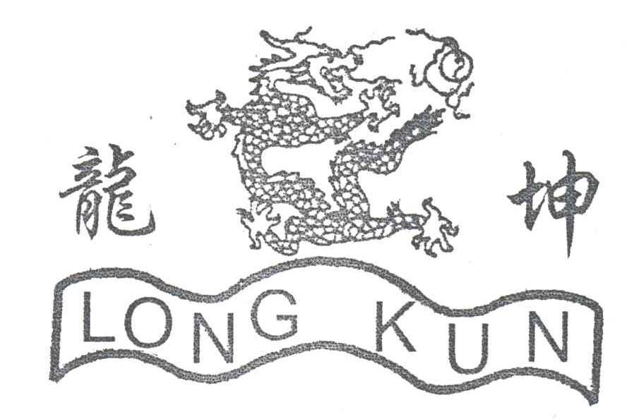 龙坤;LONG KUN