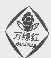万绿红