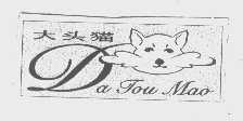 大头猫