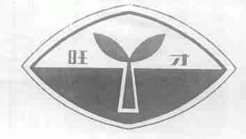 旺才
