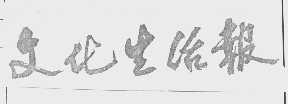 文化生活报