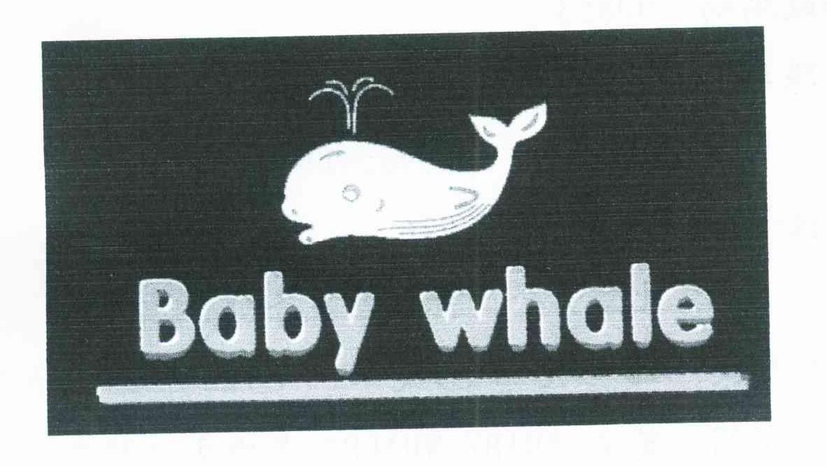 BABY WHALE