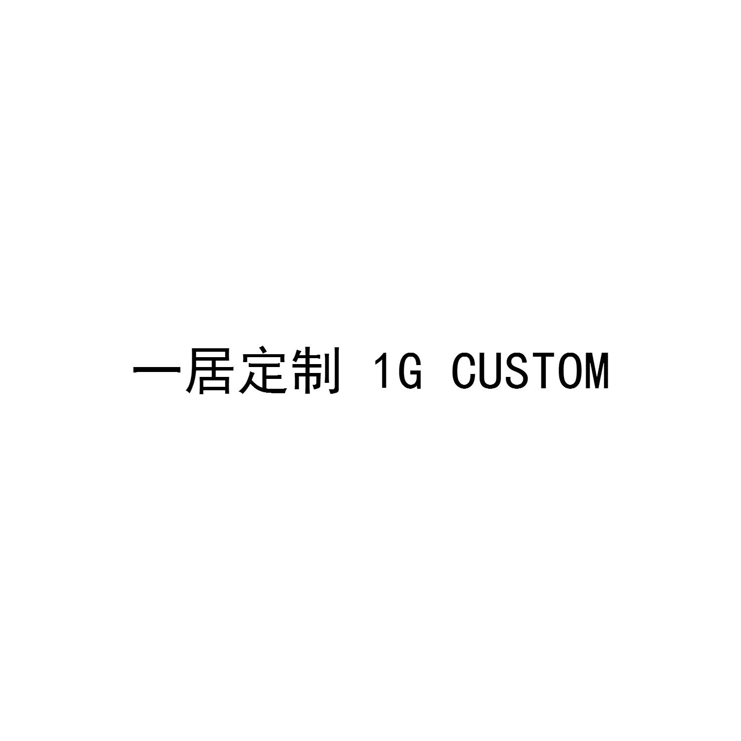 一居定制 1 G CUSTOM