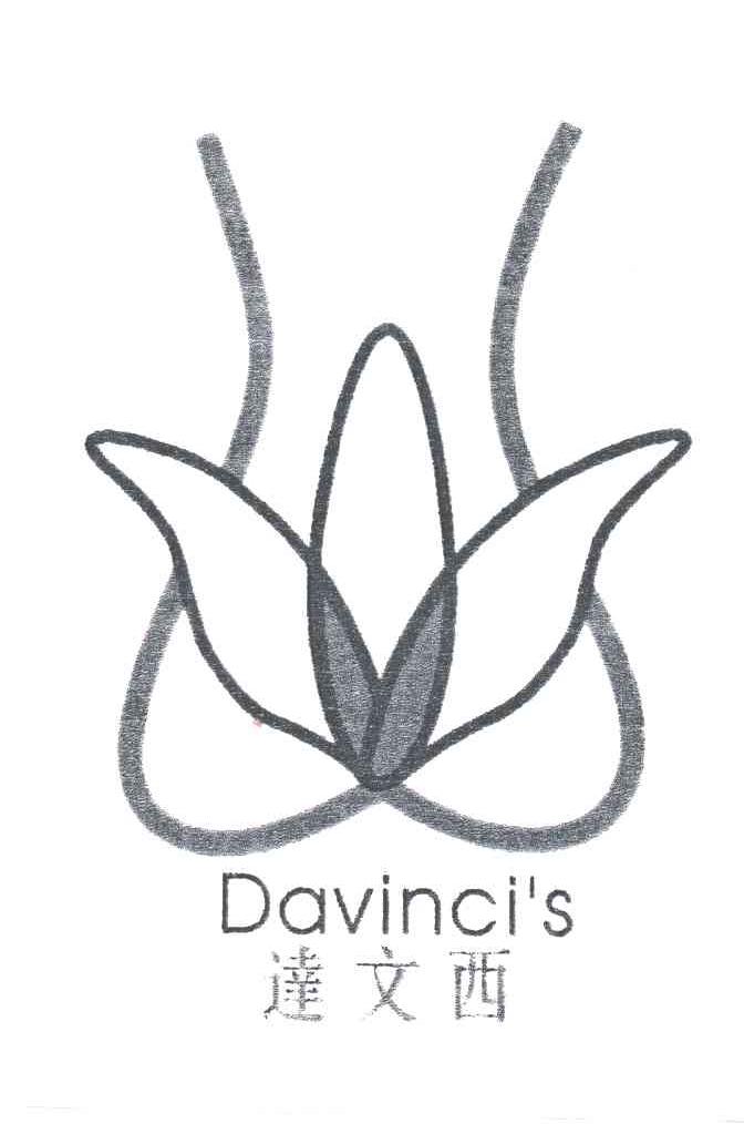 达文西DAVINCIS