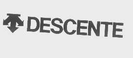 DESCENTE