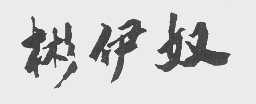 彬伊奴