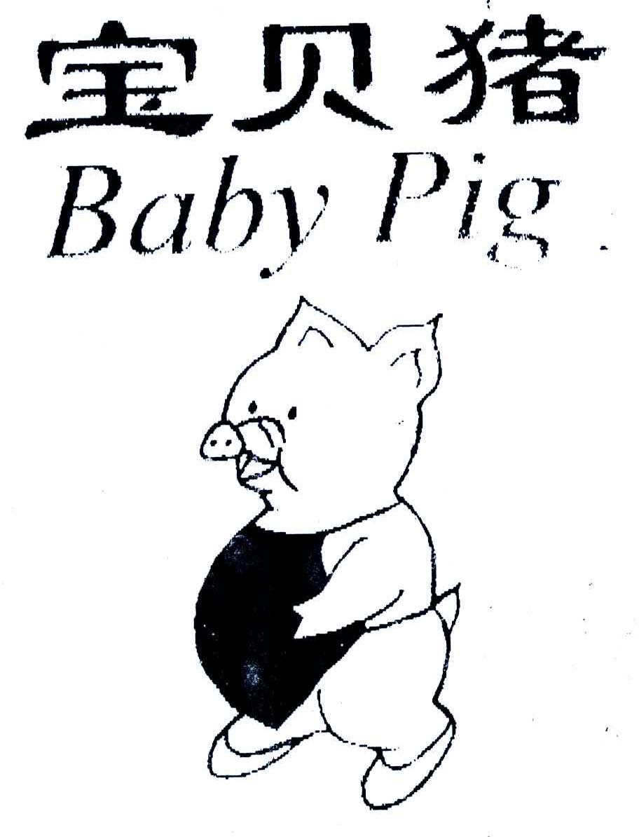 宝贝猪;BABY PIG