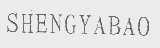 SHENGY ABAO
