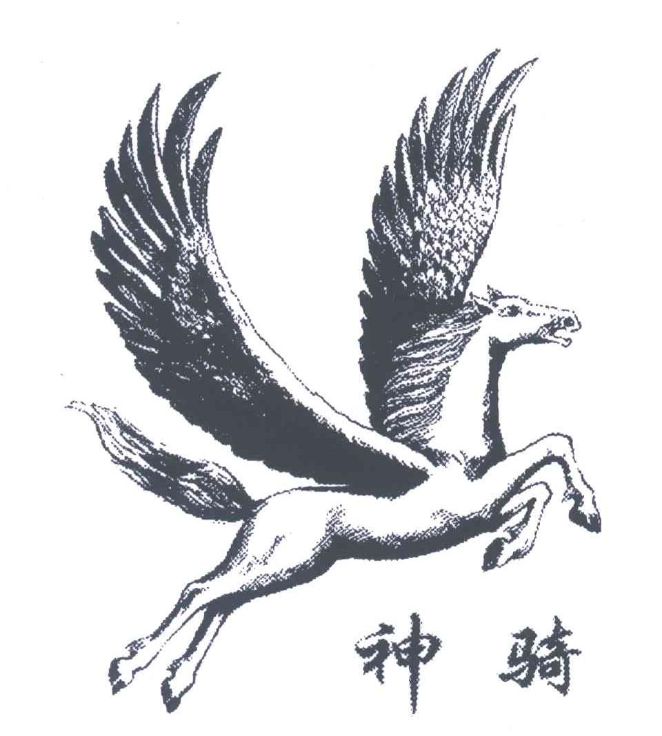 神骑