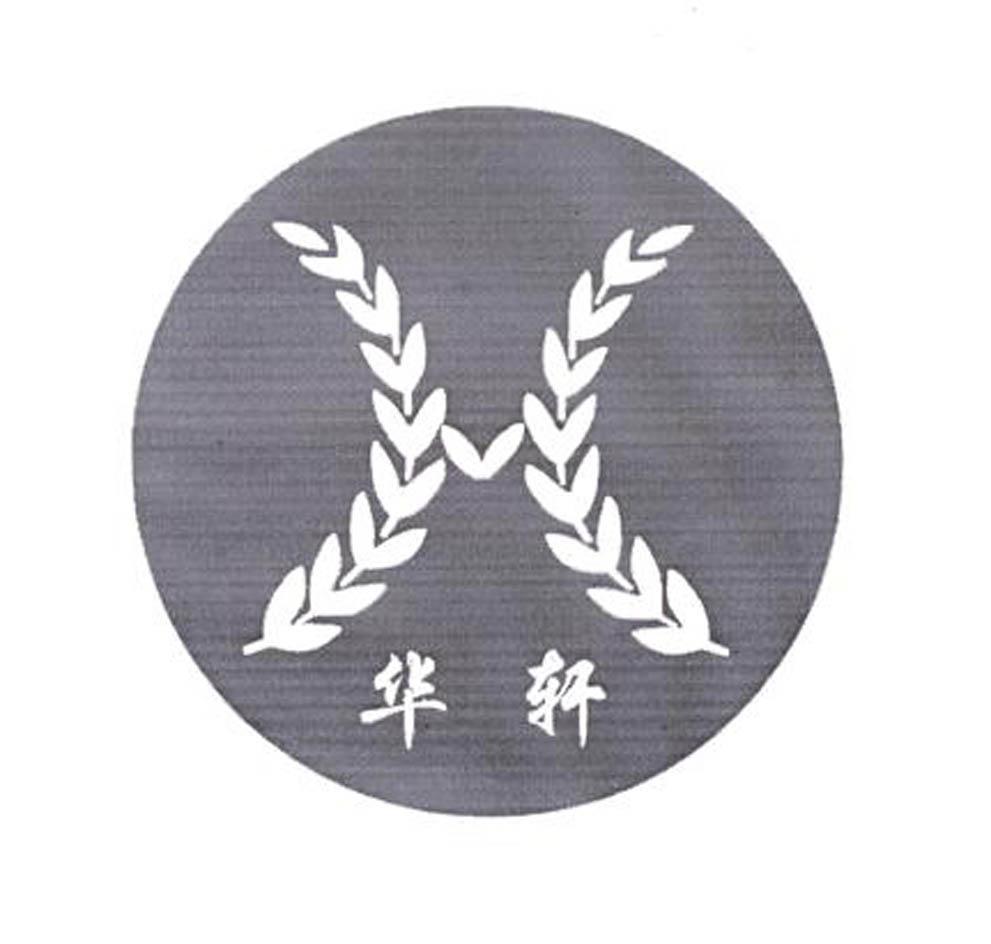 华轩 H