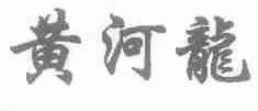 黄河龙